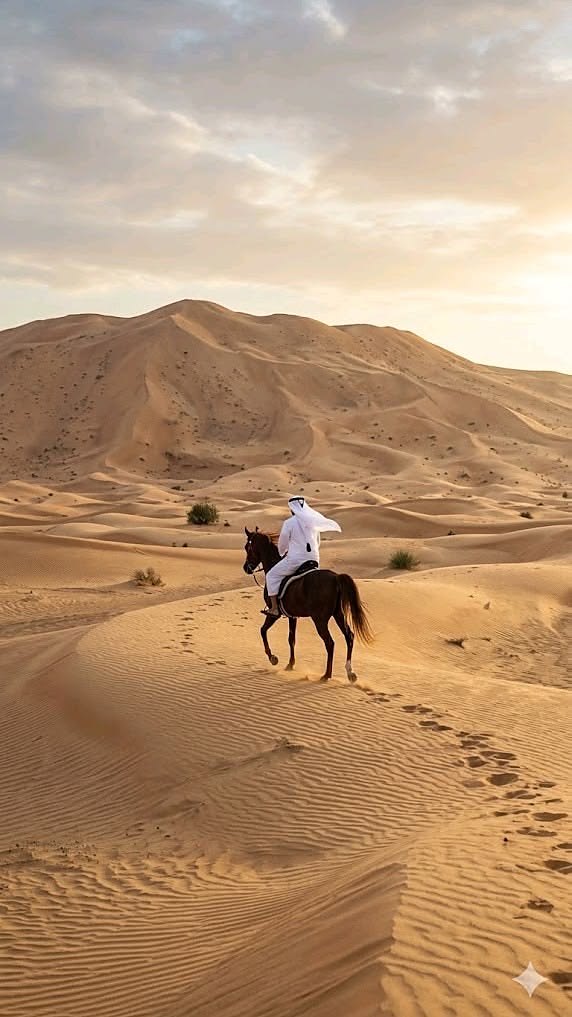 Horse riding in Dubai